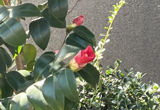 なみ満
